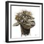 Skippy the Alpaca-Angela Bawden-Framed Art Print