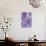 Skiyu Purple Robe 12971 Crop 1-Haruyo Morita-Art Print displayed on a wall