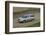 Skoda Yeti 2009-Simon Clay-Framed Photographic Print