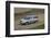 Skoda Yeti 2009-Simon Clay-Framed Photographic Print