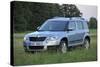 Skoda Yeti 2009-Simon Clay-Stretched Canvas