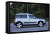 Skoda Yeti 2009-Simon Clay-Framed Stretched Canvas