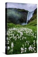 Skogafoss and Summer Wildflowers in the Morning Iceland-Vincent James-Stretched Canvas