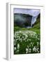 Skogafoss and Summer Wildflowers in the Morning Iceland-Vincent James-Framed Photographic Print