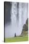 Skogafoss, Iceland, Polar Regions-Michael-Stretched Canvas