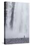 Skogafoss, Iceland, Polar Regions-Michael-Stretched Canvas