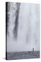 Skogafoss, Iceland, Polar Regions-Michael-Stretched Canvas