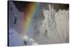 Skogafoss in Winter with Rainbow in Skoga, Iceland-Chuck Haney-Stretched Canvas