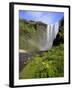 Skogafoss Waterfall, South Coast, Iceland-Michele Falzone-Framed Photographic Print