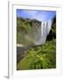 Skogafoss Waterfall, South Coast, Iceland-Michele Falzone-Framed Photographic Print