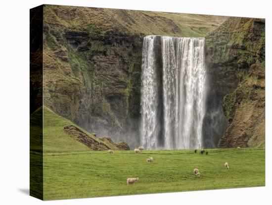 Skogarfoss with grazing sheep-null-Stretched Canvas