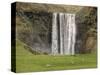 Skogarfoss with grazing sheep-null-Stretched Canvas