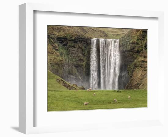 Skogarfoss with grazing sheep-null-Framed Photographic Print