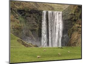 Skogarfoss with grazing sheep-null-Mounted Photographic Print