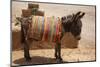 Skoura Palmeraie, Morocco. Donkey.-Jolly Sienda-Mounted Photographic Print