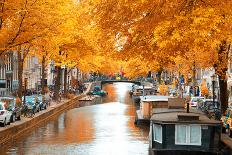 Amsterdam Autumn. Beautiful Places in Europe-Skreidzeleu-Mounted Photographic Print