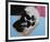 Skull, 1976 (white on blue and pink)-Andy Warhol-Framed Art Print