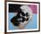 Skull, 1976 (white on blue and pink)-Andy Warhol-Framed Art Print