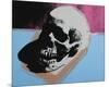 Skull, 1976 (white on blue and pink)-Andy Warhol-Mounted Art Print