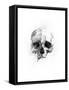 Skull 46-Alexis Marcou-Framed Stretched Canvas