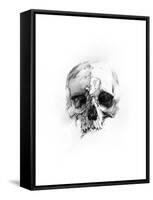 Skull 46-Alexis Marcou-Framed Stretched Canvas