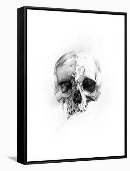 Skull 46-Alexis Marcou-Framed Stretched Canvas