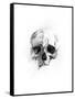 Skull 46-Alexis Marcou-Framed Stretched Canvas