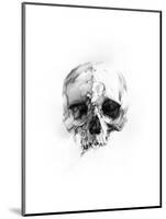 Skull 46-Alexis Marcou-Mounted Art Print
