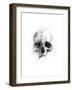 Skull 46-Alexis Marcou-Framed Art Print