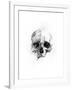 Skull 46-Alexis Marcou-Framed Art Print