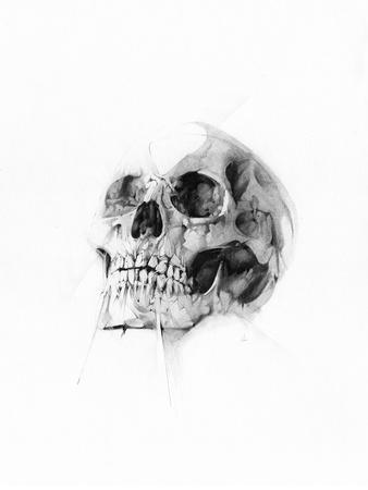 https://imgc.allpostersimages.com/img/posters/skull-52_u-L-Q1HM5TB0.jpg?artPerspective=n
