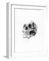 Skull 52-Alexis Marcou-Framed Art Print