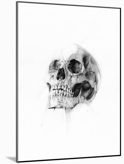Skull 52-Alexis Marcou-Mounted Art Print