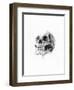 Skull 52-Alexis Marcou-Framed Art Print