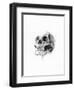 Skull 52-Alexis Marcou-Framed Art Print