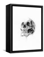 Skull 52-Alexis Marcou-Framed Stretched Canvas