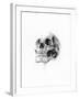 Skull 52-Alexis Marcou-Framed Art Print