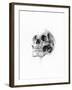 Skull 52-Alexis Marcou-Framed Art Print