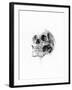 Skull 52-Alexis Marcou-Framed Art Print