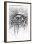 Skull 55-Alexis Marcou-Framed Art Print