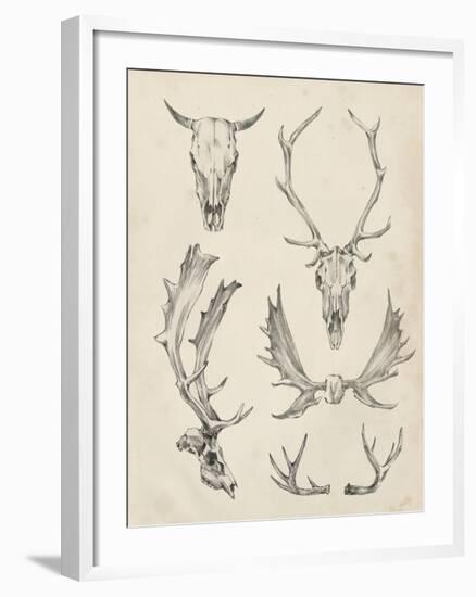 Skull and Antler Study II-Ethan Harper-Framed Art Print