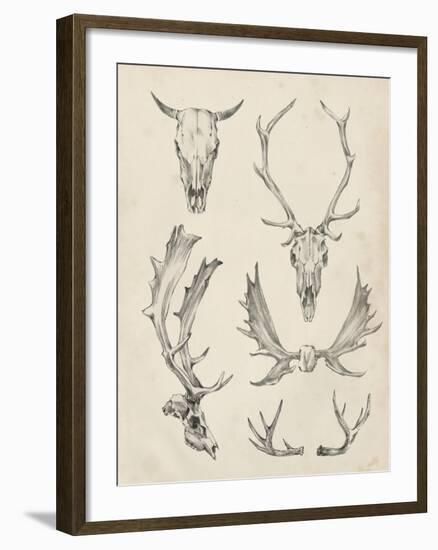 Skull and Antler Study II-Ethan Harper-Framed Art Print