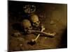 Skull and Cross Bones-Michael Brown-Mounted Photographic Print