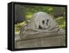 Skull and Crossbones on a Gravestone in the Old Granary Burying Ground, Boston, Massachusetts-null-Framed Stretched Canvas