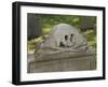 Skull and Crossbones on a Gravestone in the Old Granary Burying Ground, Boston, Massachusetts-null-Framed Photographic Print