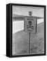 Skull and Crossbones Surrounded by the Words "Death Here" marking fatal car accident-Alfred Eisenstaedt-Framed Stretched Canvas