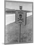 Skull and Crossbones Surrounded by the Words "Death Here" marking fatal car accident-Alfred Eisenstaedt-Mounted Photographic Print