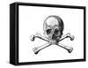 Skull and Crossbones-null-Framed Stretched Canvas