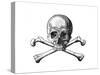 Skull and Crossbones-null-Stretched Canvas