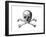 Skull and Crossbones-null-Framed Giclee Print